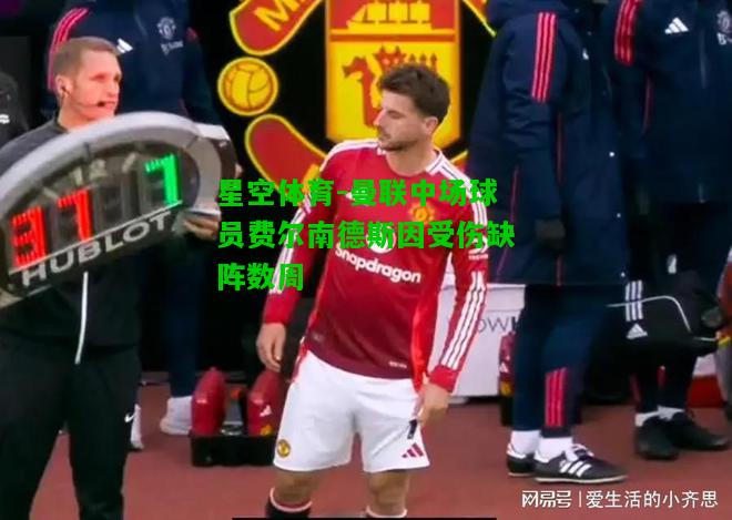 曼联中场球员费尔南德斯因受伤缺阵数周
