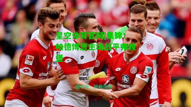 集锦：帕德博恩主场战平弗赖堡