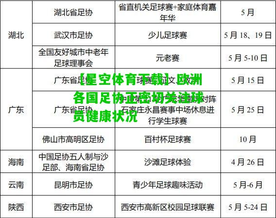 欧洲各国足协正密切关注球员健康状况