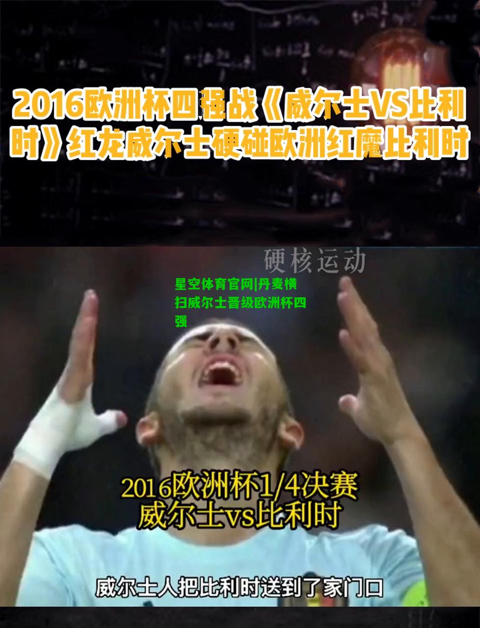 丹麦横扫威尔士晋级欧洲杯四强